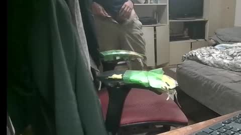 Snapshot of kinchan069 chatting on 9, 11, 2025 kinchan069 online show from 9, 11, 2025