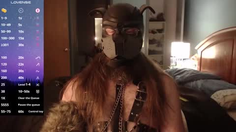 kinkywolf87 online show from 3, 12, 2024