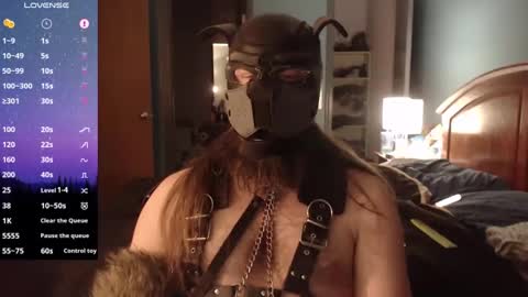 kinkywolf87 online show from 20, 12, 2024