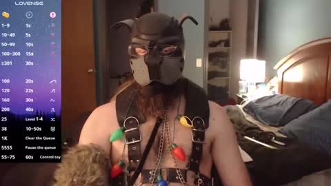 kinkywolf87 online show from 24, 12, 2024