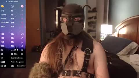 kinkywolf87 online show from 26, 12, 2024