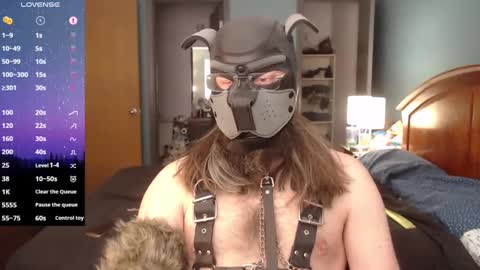 kinkywolf87 online show from 17, 1, 2025