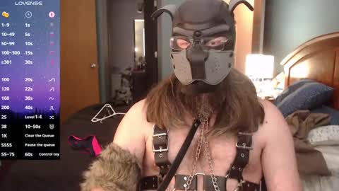 kinkywolf87 online show from 27, 1, 2025