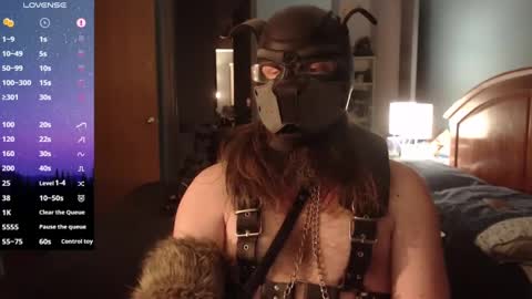 kinkywolf87 online show from 1, 2, 2025