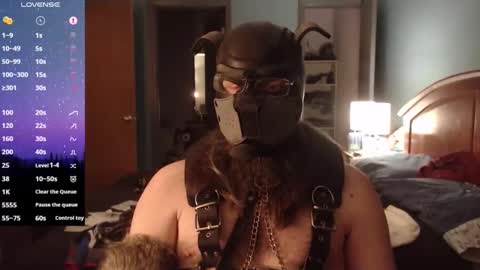kinkywolf87 online show from 14, 2, 2025
