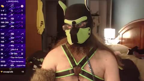 kinkywolf87 online show from 24, 9, 2025