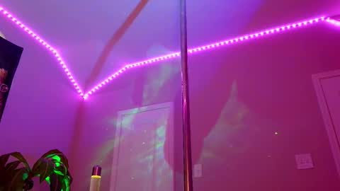 Rose online show from 5, 11, 2025