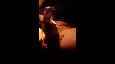 Kitkat loco online show from 10, 1, 2026