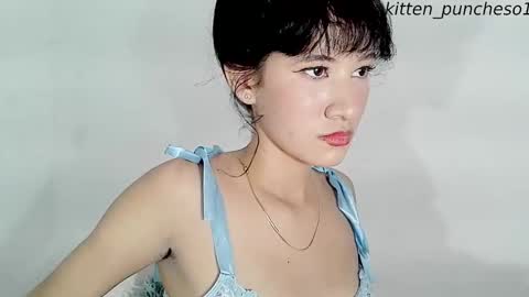 kitten_punches01 online show from 13, 9, 2025
