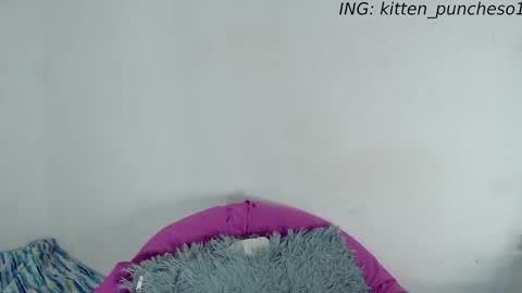 kitten_punches01 online show from 28, 9, 2025