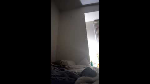 kittensplash online show from 12, 2, 2026