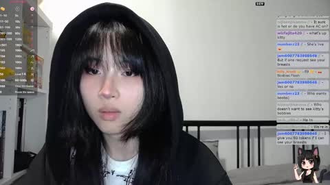 Kitty online show from 7, 11, 2025