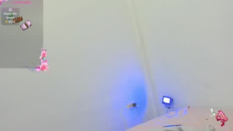 Snapshot of kitty_pervertedx chatting on 8, 10, 2025 kitty online show from 8, 10, 2025