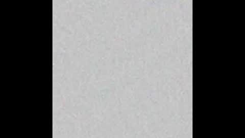 kitty online show from 18, 2, 2026