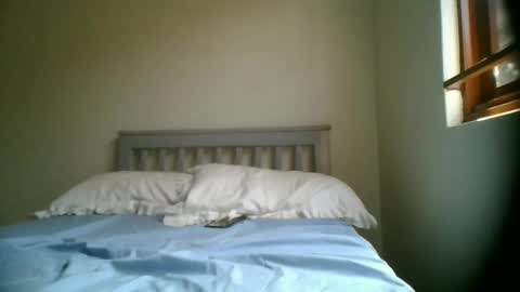 kittygulf online show from 13, 2, 2026