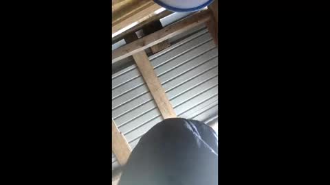 klara_belle online show from 2, 2, 2026