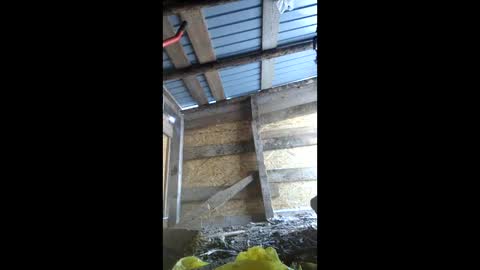 klara_belle online show from 3, 2, 2026