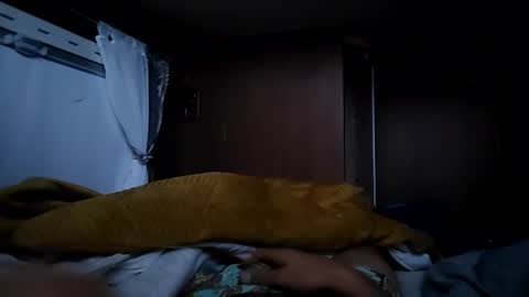 knilbonk online show from 5, 10, 2025