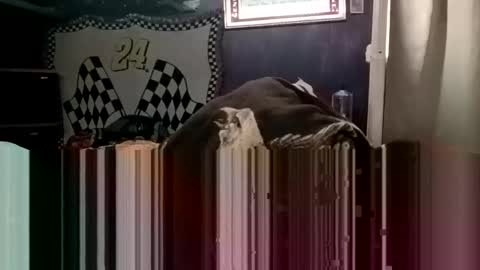 knock2wice1975 online show from 20, 1, 2025