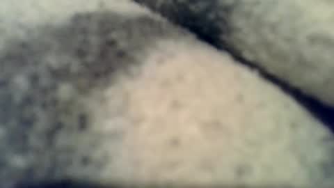 kolo679754253457 online show from 4, 2, 2026