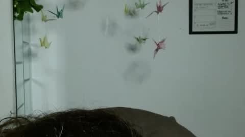 Karoll online show from 22, 11, 2025