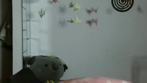 Karoll online show from 13, 1, 2026