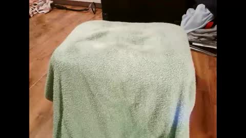 Snapshot of kotek400 chatting on 30, 1, 2025 kotek400 online show from 30, 1, 2025