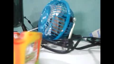 Koto Bombon online show from 31, 12, 2024