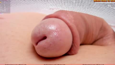 Petra online show from 19, 11, 2025