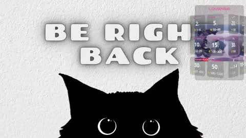   online show from 25, 2, 2026