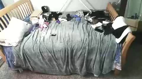 Snapshot of kulinky6969 chatting on 15, 12, 2025 kulinky6969 online show from 15, 12, 2025