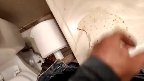 kumnnkevsuks4 online show from 16, 1, 2025