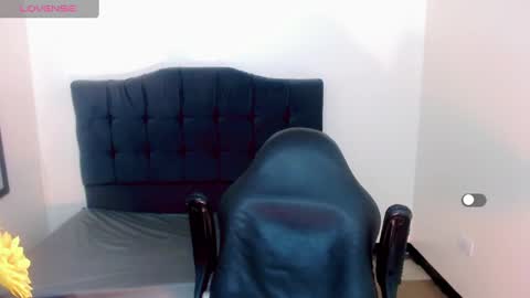 AriSaray online show from 28, 12, 2024