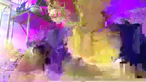 Lady Gloria online show from 7, 1, 2026