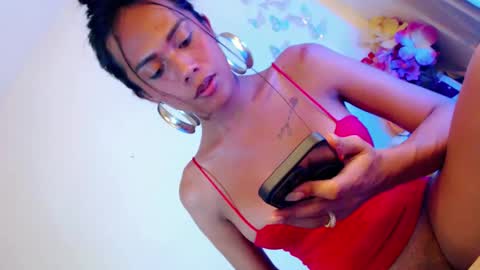 Stella online show from 11, 12, 2024