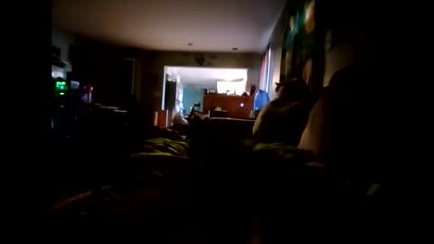 lambofgod90_ online show from 24, 11, 2025