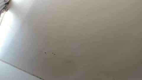 Snapshot of lara_jean23 chatting on 23, 10, 2025 Lara online show from 23, 10, 2025