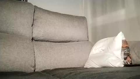 Alessandro online show from 7, 12, 2024