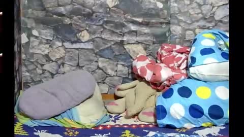 Snapshot of latin_hornycouple chatting on 28, 1, 2025 latin_hornycouple online show from 28, 1, 2025