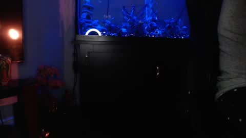latinlover513 online show from 17, 9, 2025
