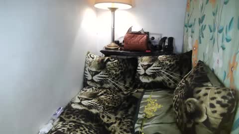 Snapshot of laureen_gavh chatting on 8, 2, 2025 Belle online show from 8, 2, 2025