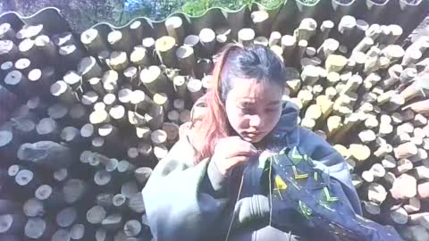 Snapshot of layla_999 chatting on 12, 1, 2026 layla_999 online show from 12, 1, 2026