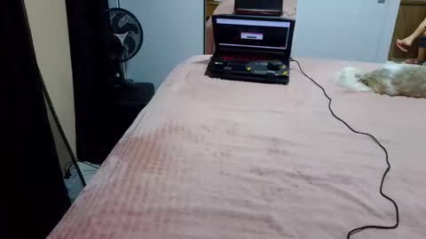 Snapshot of laylabrasil chatting on 27, 2, 2026 kelly online show from 27, 2, 2026