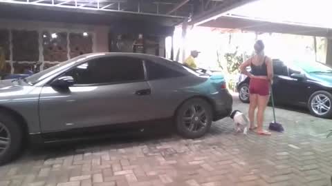 Snapshot of laylabrasil chatting on 18, 3, 2026 kelly online show from 18, 3, 2026