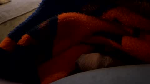 lc6173 online show from 27, 12, 2024