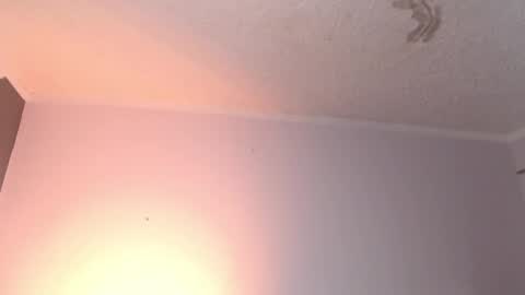 leabigboobs online show from 3, 2, 2025