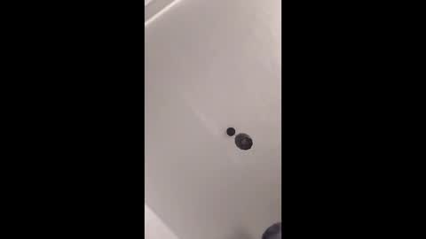 lecimy online show from 25, 2, 2026