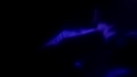 Michael online show from 30, 9, 2025