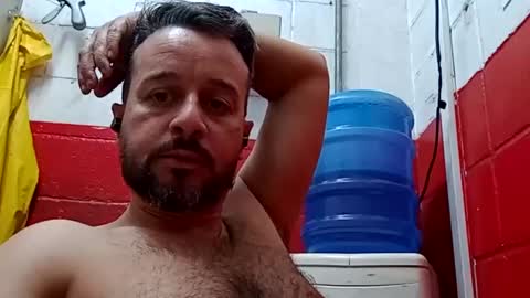 Pequeno Urso online show from 13, 1, 2025