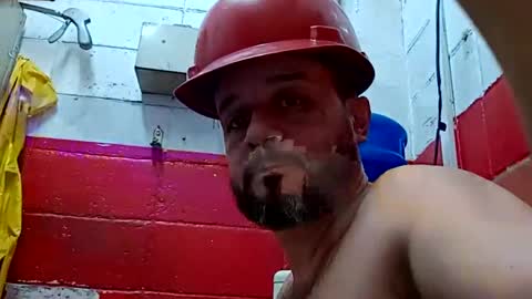 Pequeno Urso online show from 25, 1, 2025